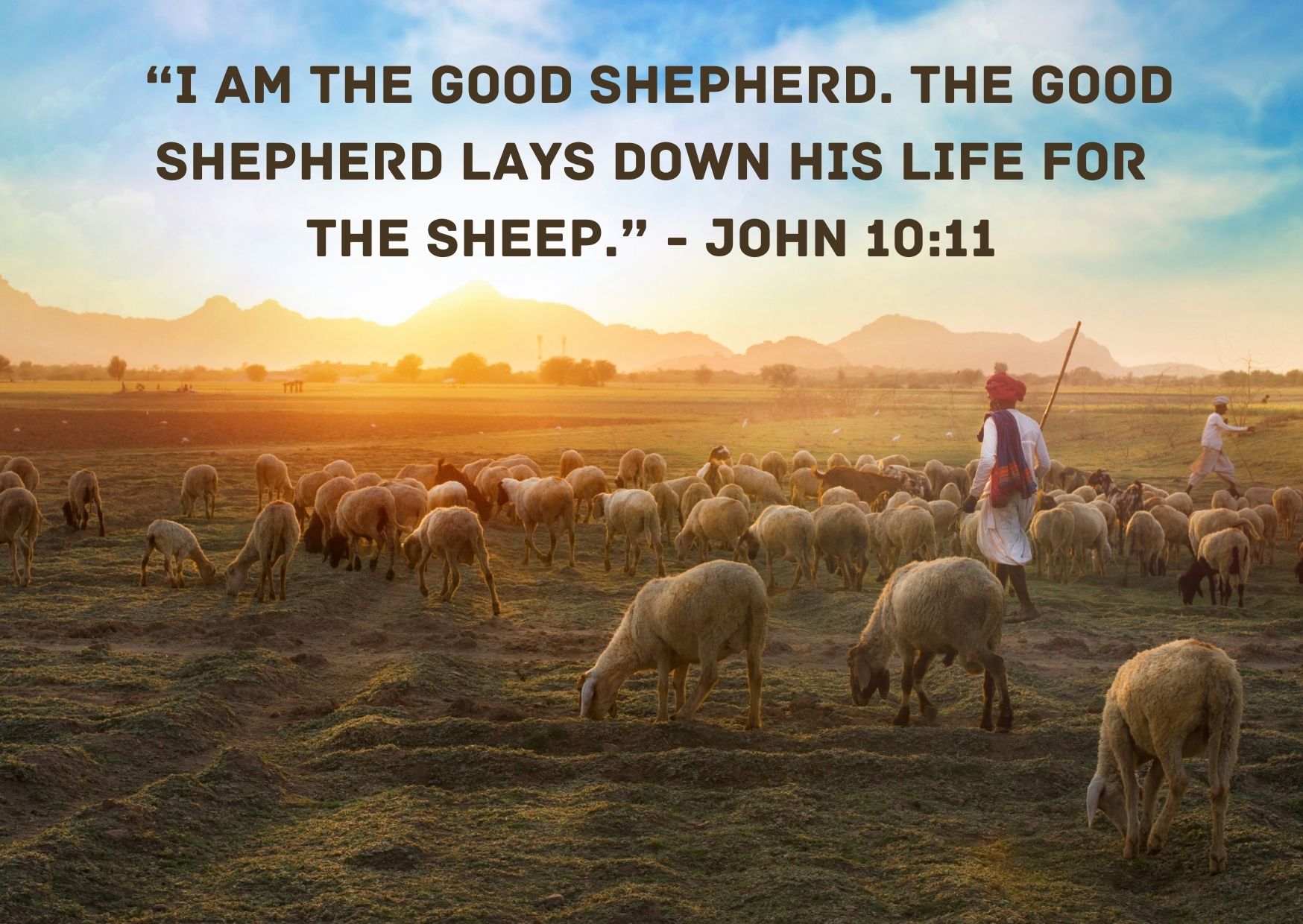 Good Shepherd Sunday - Reflection