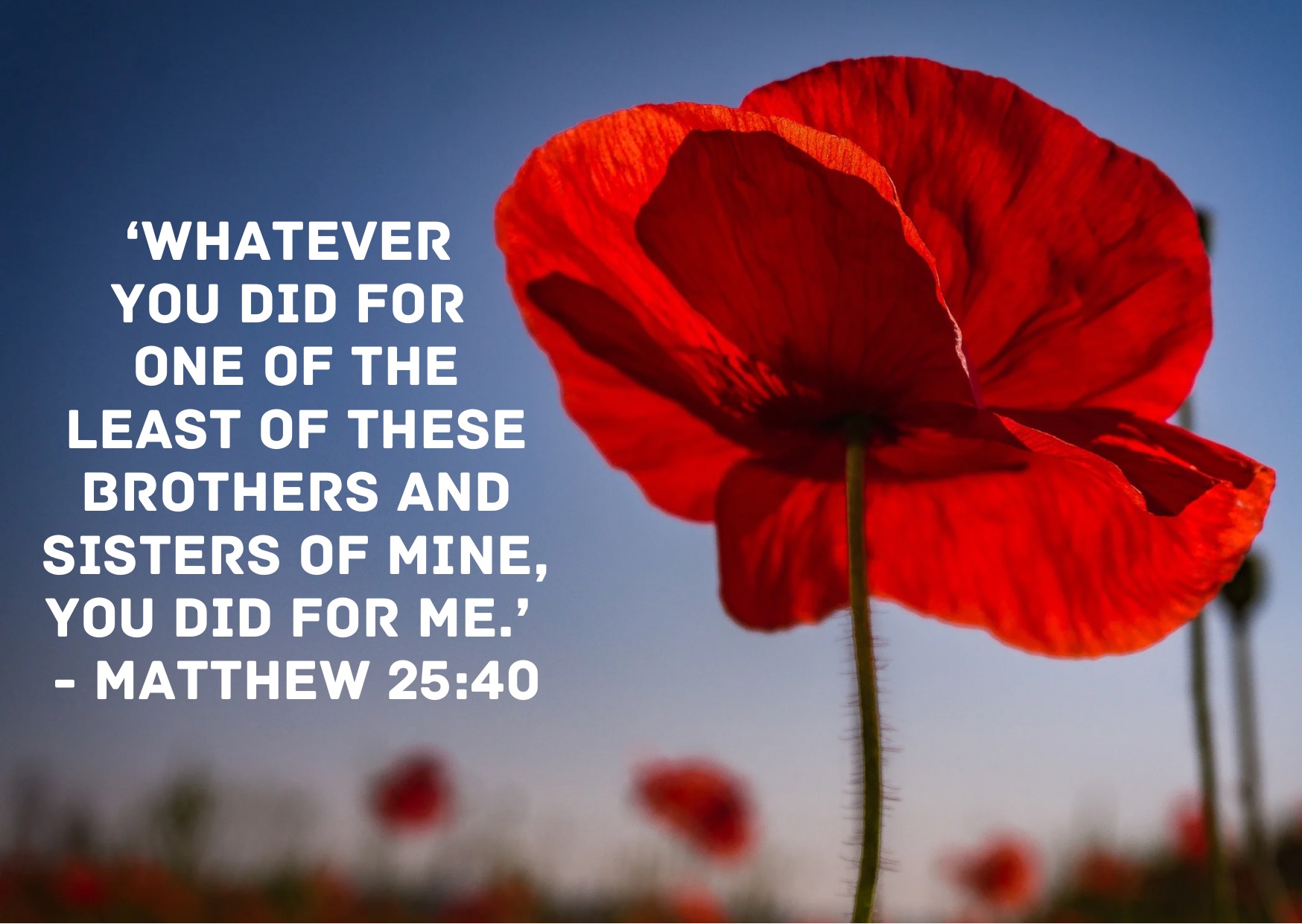 Remembrance Sunday - Reflection