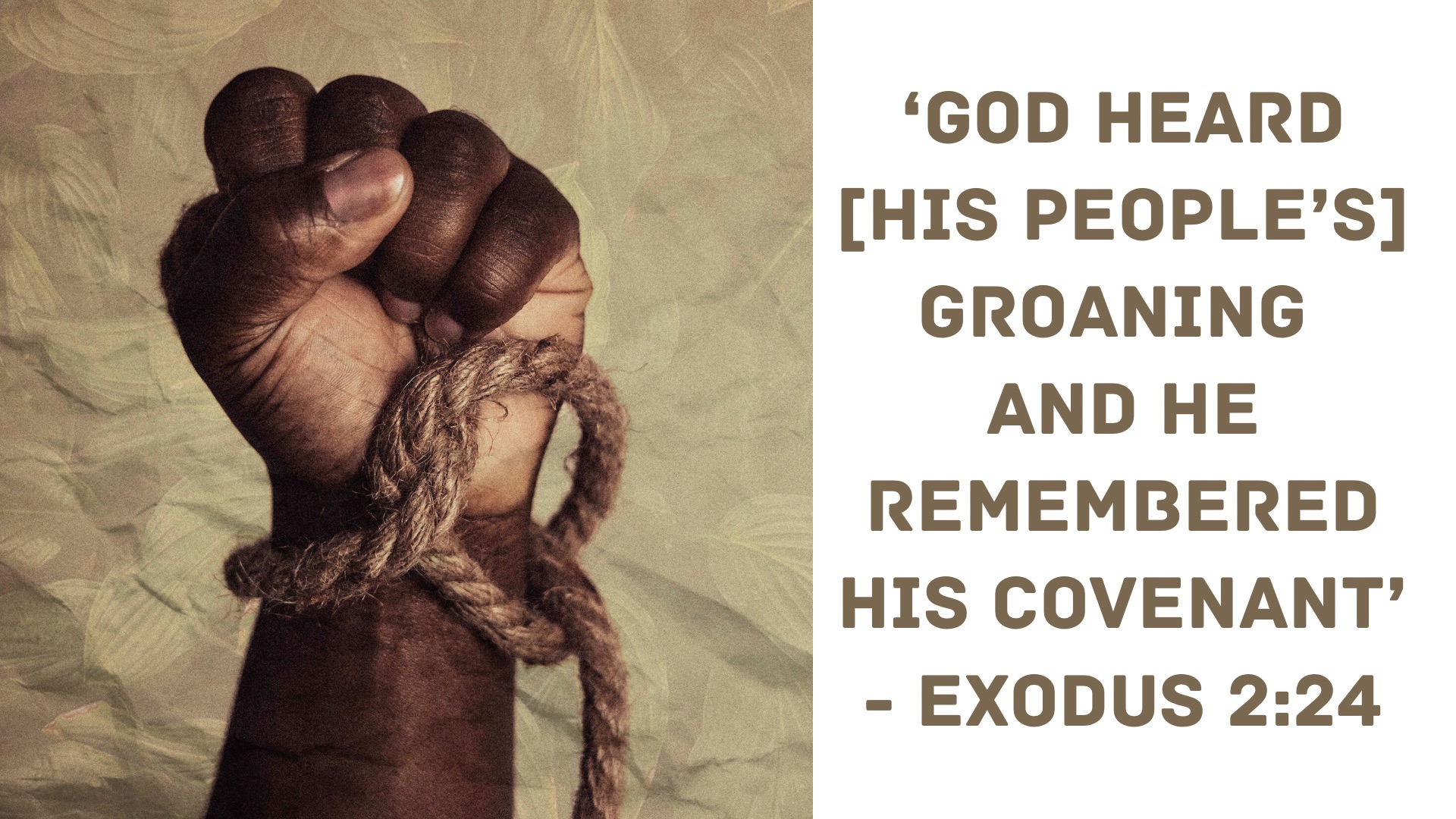 Exodus 2b - Reflection